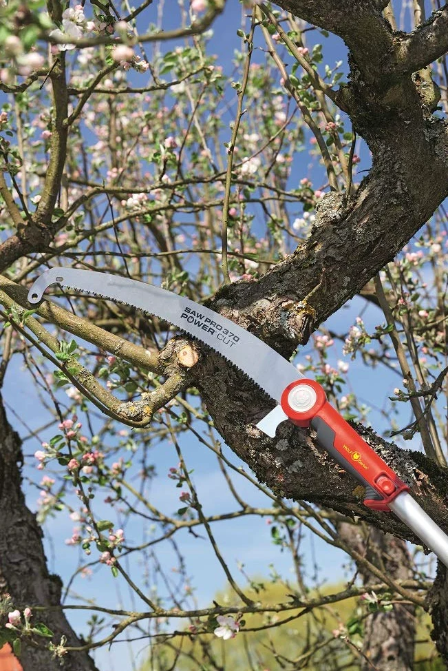 Wolf-Garten 71ACA003650 Power Cut Saw Pro 370 Segaccio Professionale Multi-Star, Rosso/Argento