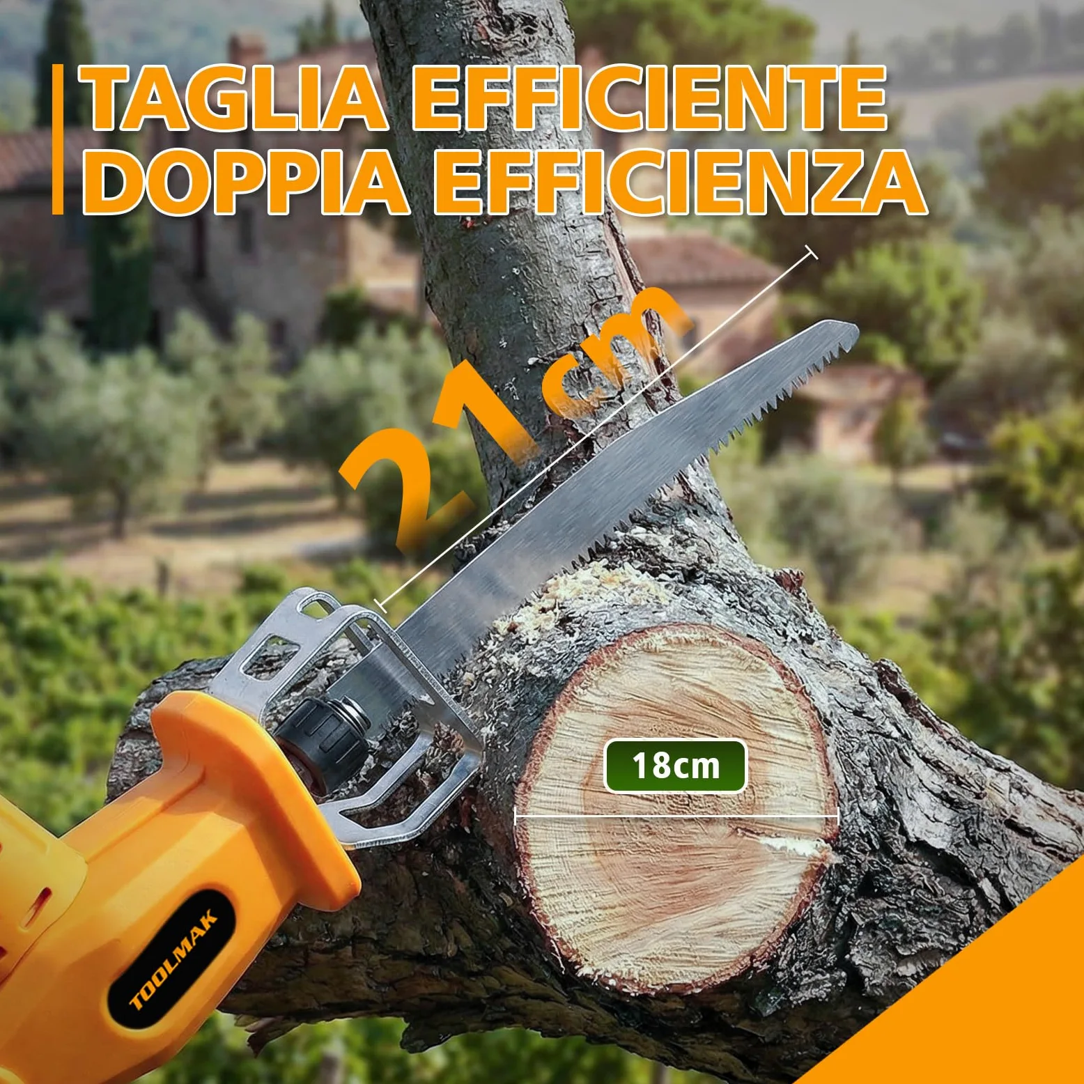 TOOLMAK Motosega a Batteria 20V 4,0Ah con Asta Telescopica 3m da Giardino | Sega Elettrica per Alberi e Rami, Lama 210 mm, seghetto per potatura(1 Batteria)