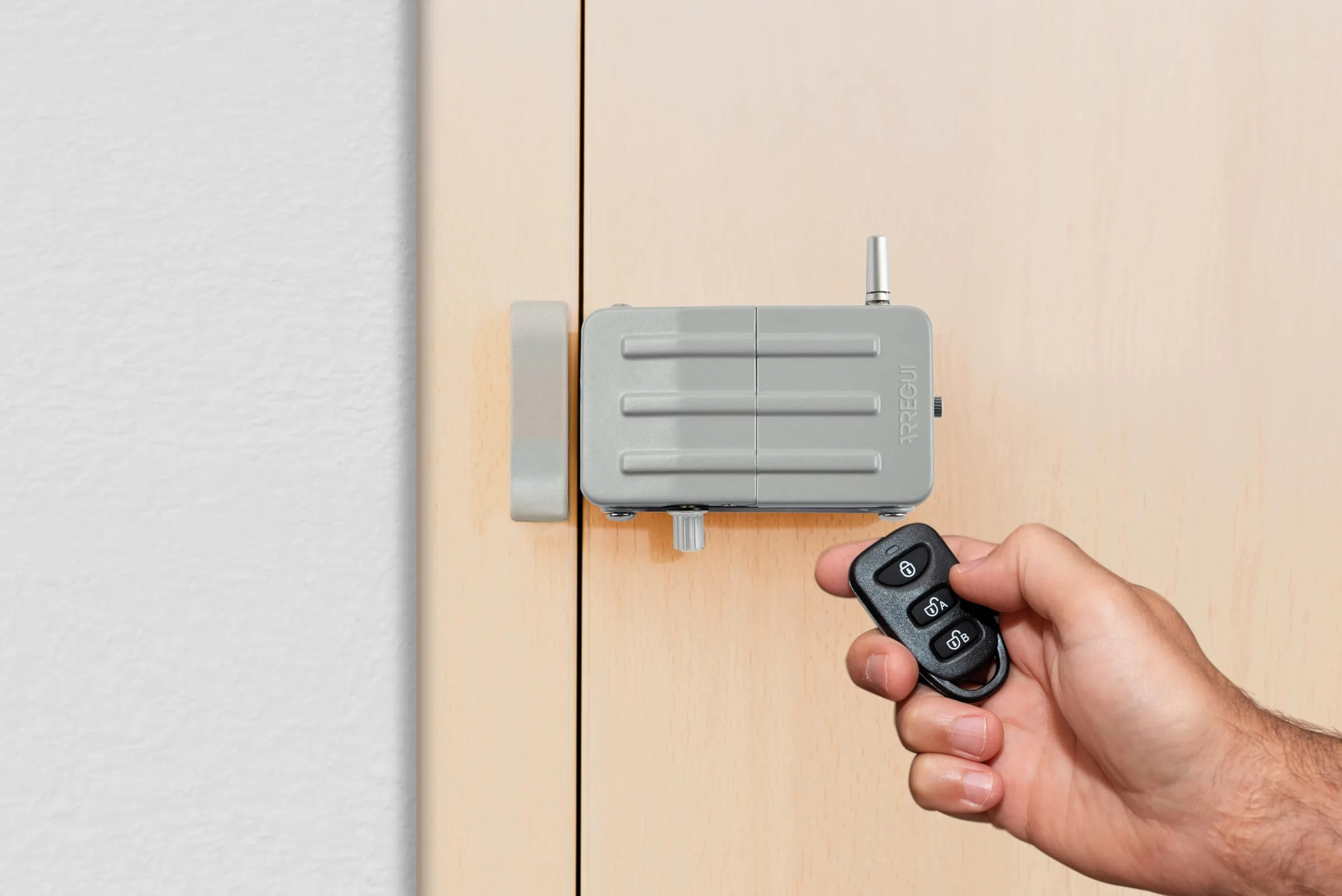 ARREGUI CI10P Serratura di Sicurezza Invisibile per Porta con 4 Telecomandi, Antifurto, Serratura Elettronica per Porta, Serratura Wireless, Catenaccio Interno, argento