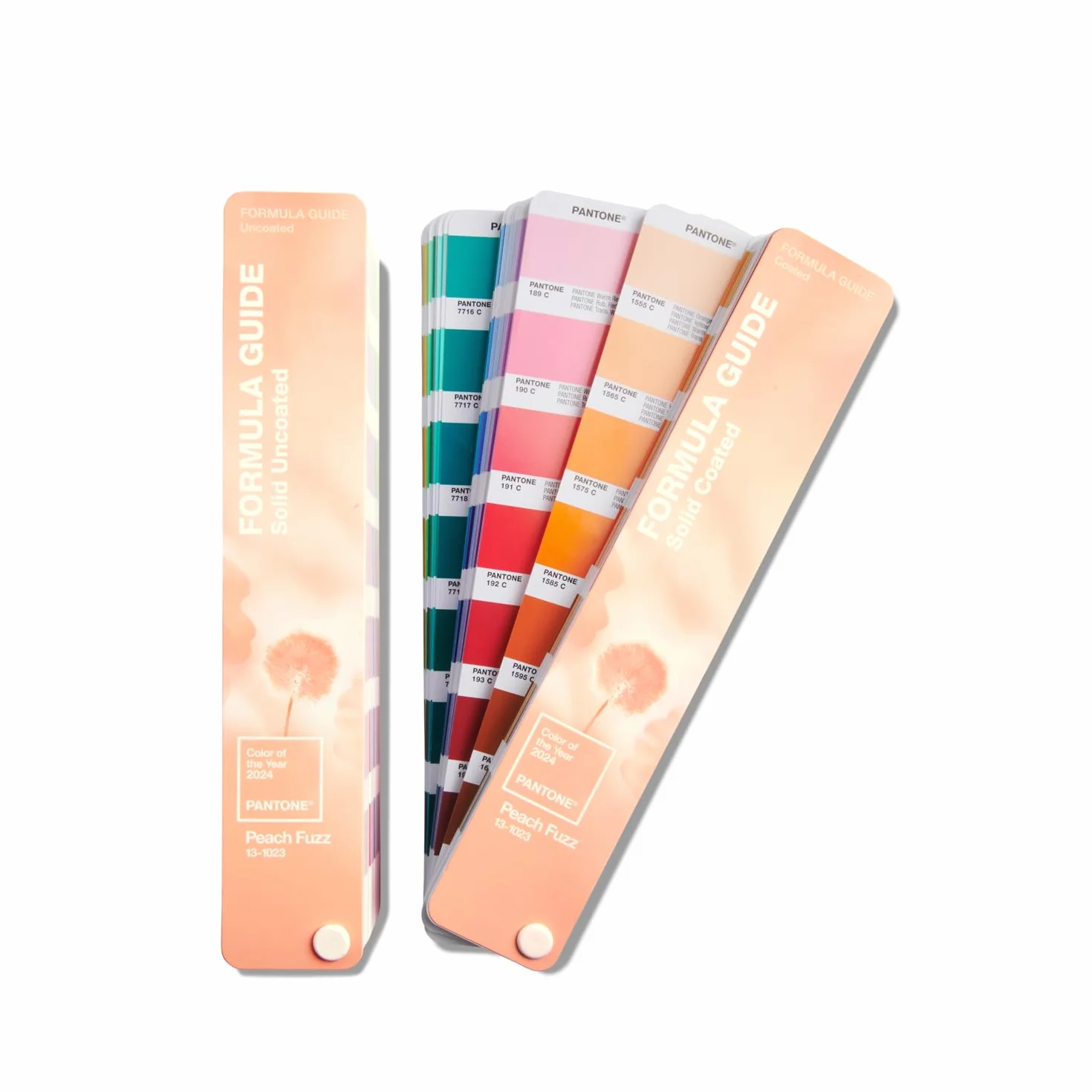 Pantone Formula Guide, Color of the Year 2024 in edizione limitata