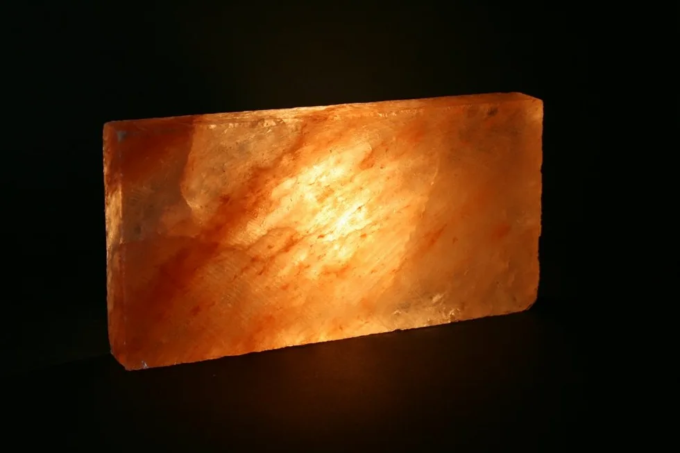 50x (1 mq) Mattoni di sale, piastrelle di sale 20 x 10 x 2,5 cm, sale dell'Himalaya* (dalla Salt Range, Pakistan)