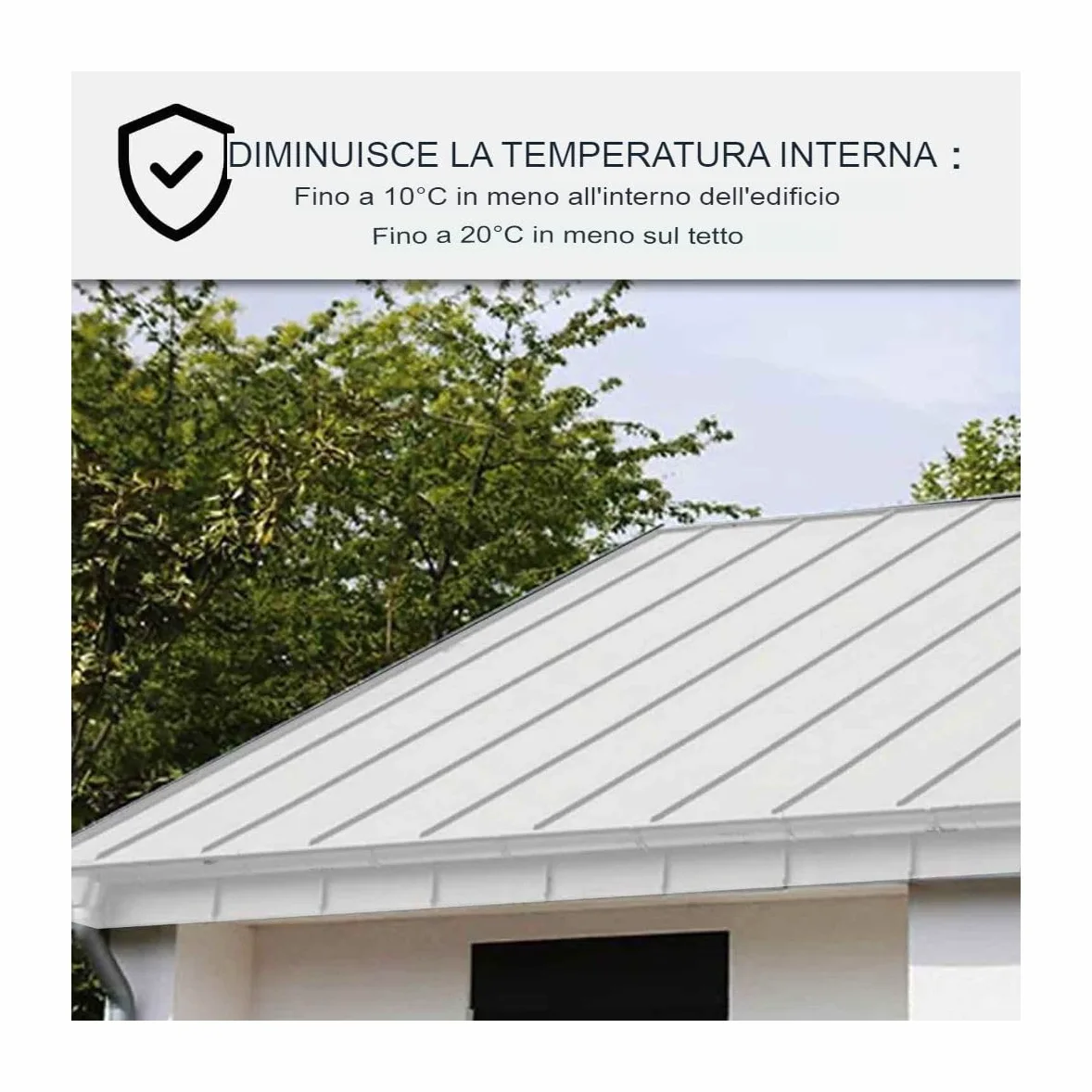 ARCANE INDUSTRIES Vernice per tetti in lamiera, anticalore e anticorrosione - ARCAREFLECT - 1218-20 kg Bianco