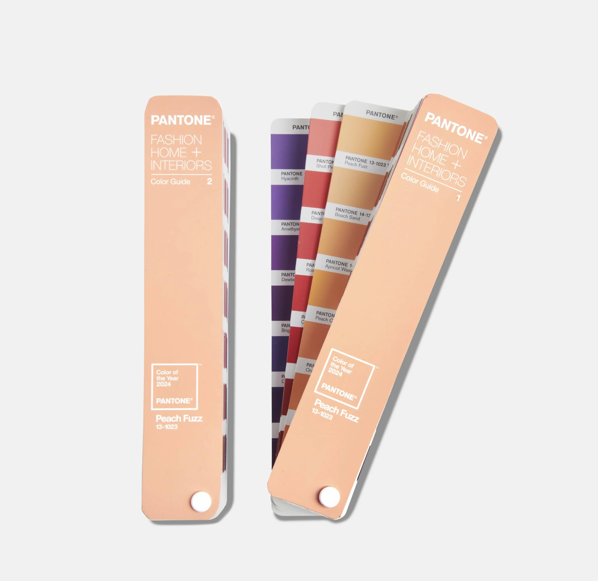 Pantone FHI Color Guide, Color of the Year 2024 in edizione limitata