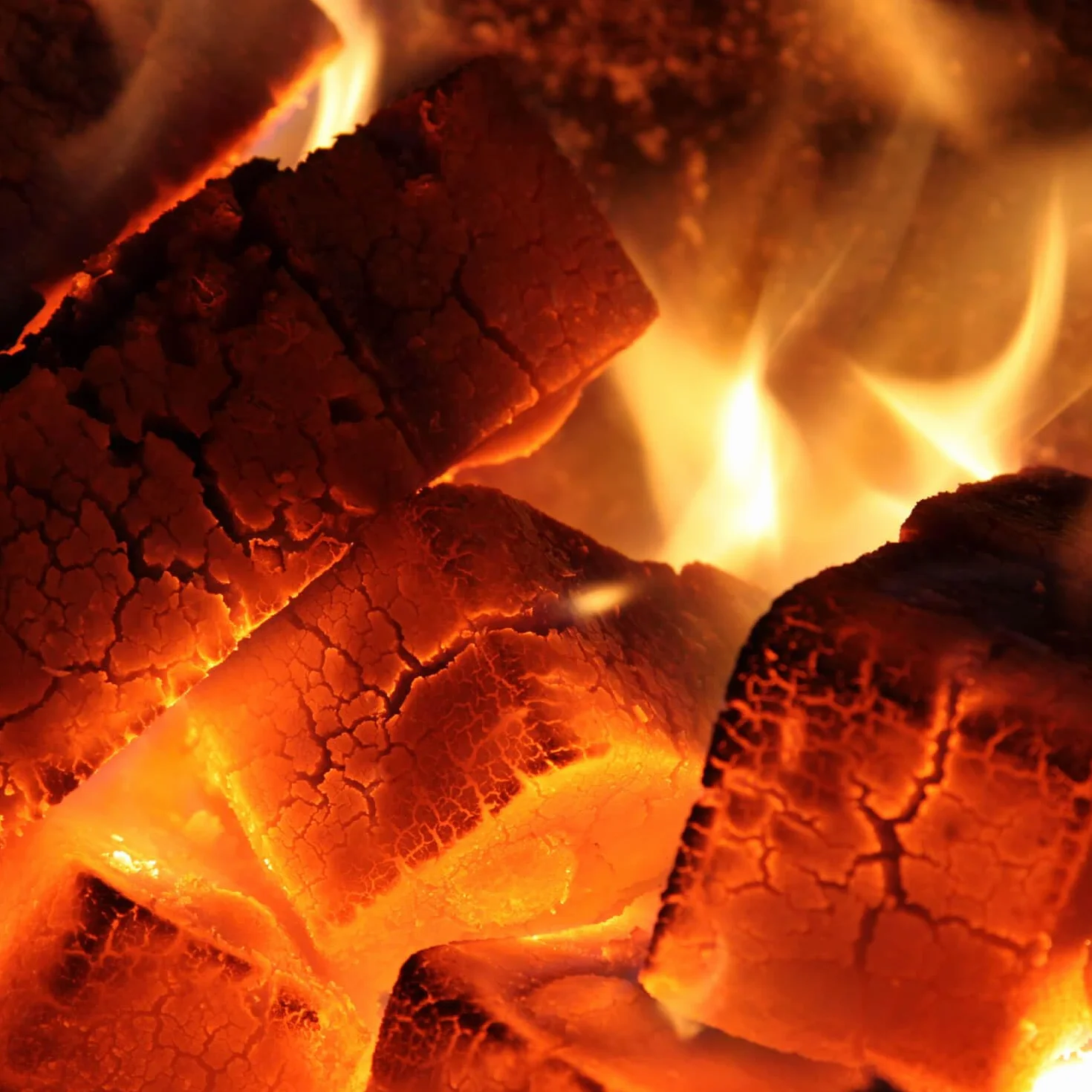 PALIGO Carbone Braunk Briketts Carbone Heiz Brikett Camino forno Rekord fasci 10 kg x 30 scatole 300 kg/1 Palette HEIZFUXX®
