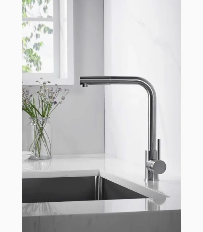 Imex Malta - Rubinetto da cucina monocomando con doccia estraibile, rubinetto per lavello con 2 modalità di spruzzatura, rubinetto da cucina monocomando (acciaio inox) - GCE006/AC