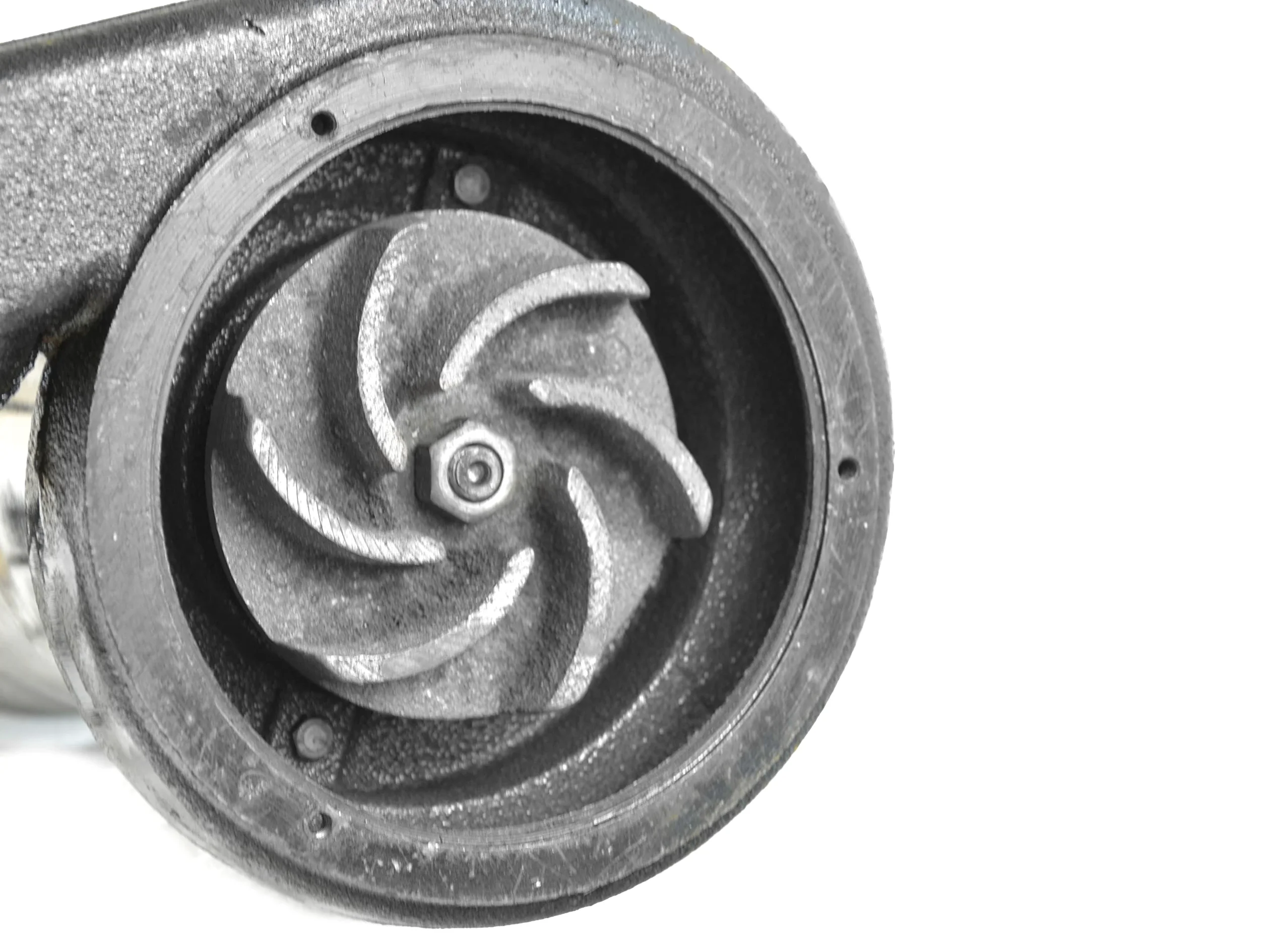 BSD Pompa per Acque Scure Con Trituratore e Interruttore Galleggiante - Corpo in Nichel/Ghisa, WQD 550W, 17000L/h, Prevalenza Max. 8m