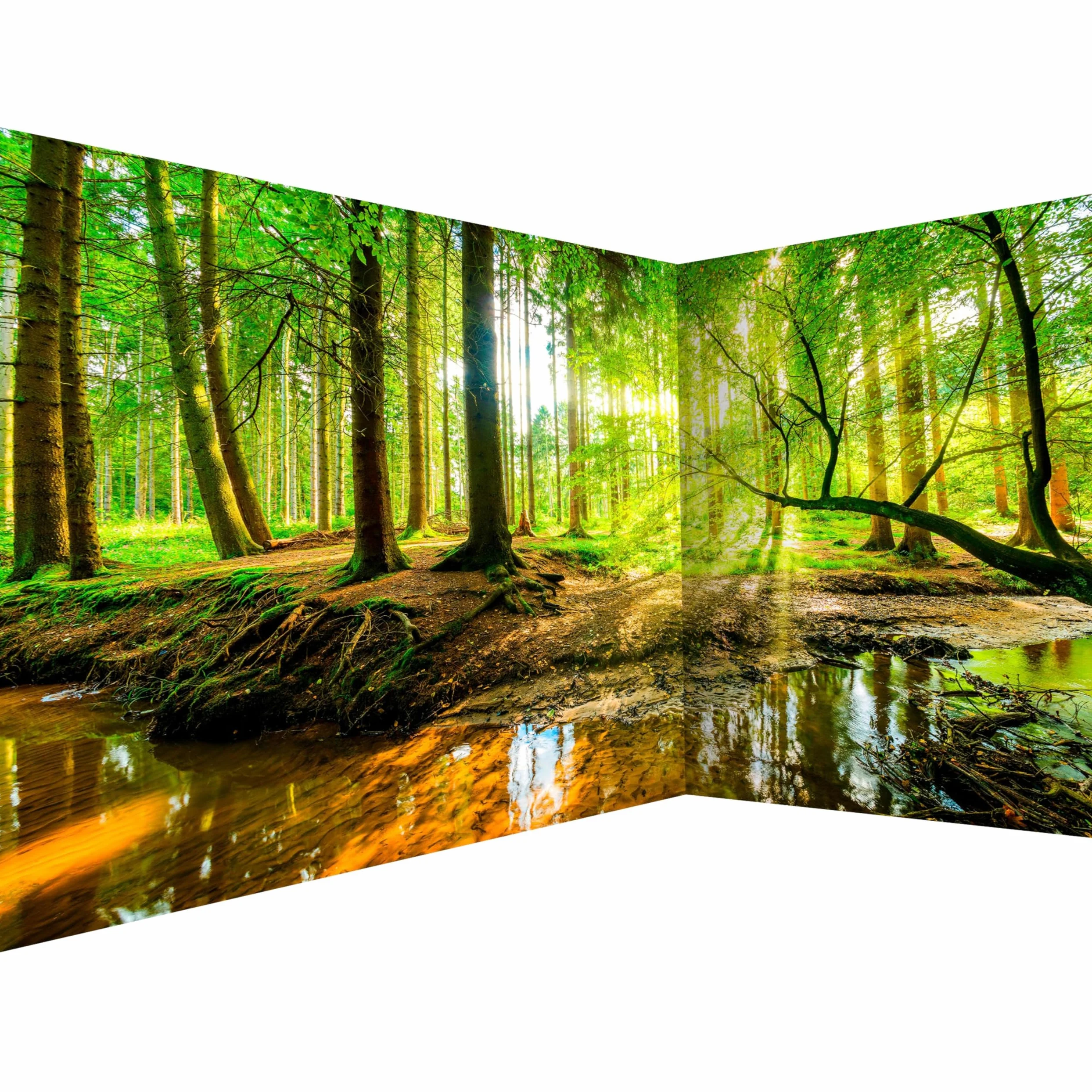 murando Carta da parati d'Angolo Adesiva Foresta Paesaggio 539x250 cm Fotomurali Adesivi Murali Rivestimento Parete Moderna per Pareti Muro Decorativo Fotomurale Natura Alberi verde Sole c-B-10040-a-a