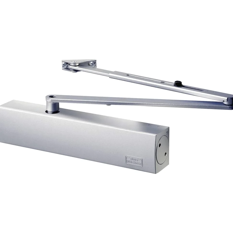 BURG WÄCHTER Chiudiporta TS 4000 V S, Lega di Acciaio, Argento, One Size