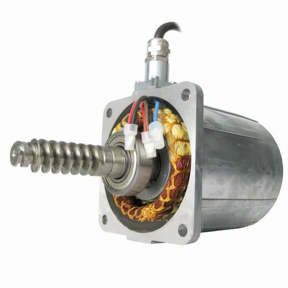 CAME 119RIA061 Gruppo motore FROG - ricambio originale
