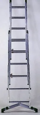 Facal Scale Facal Prima