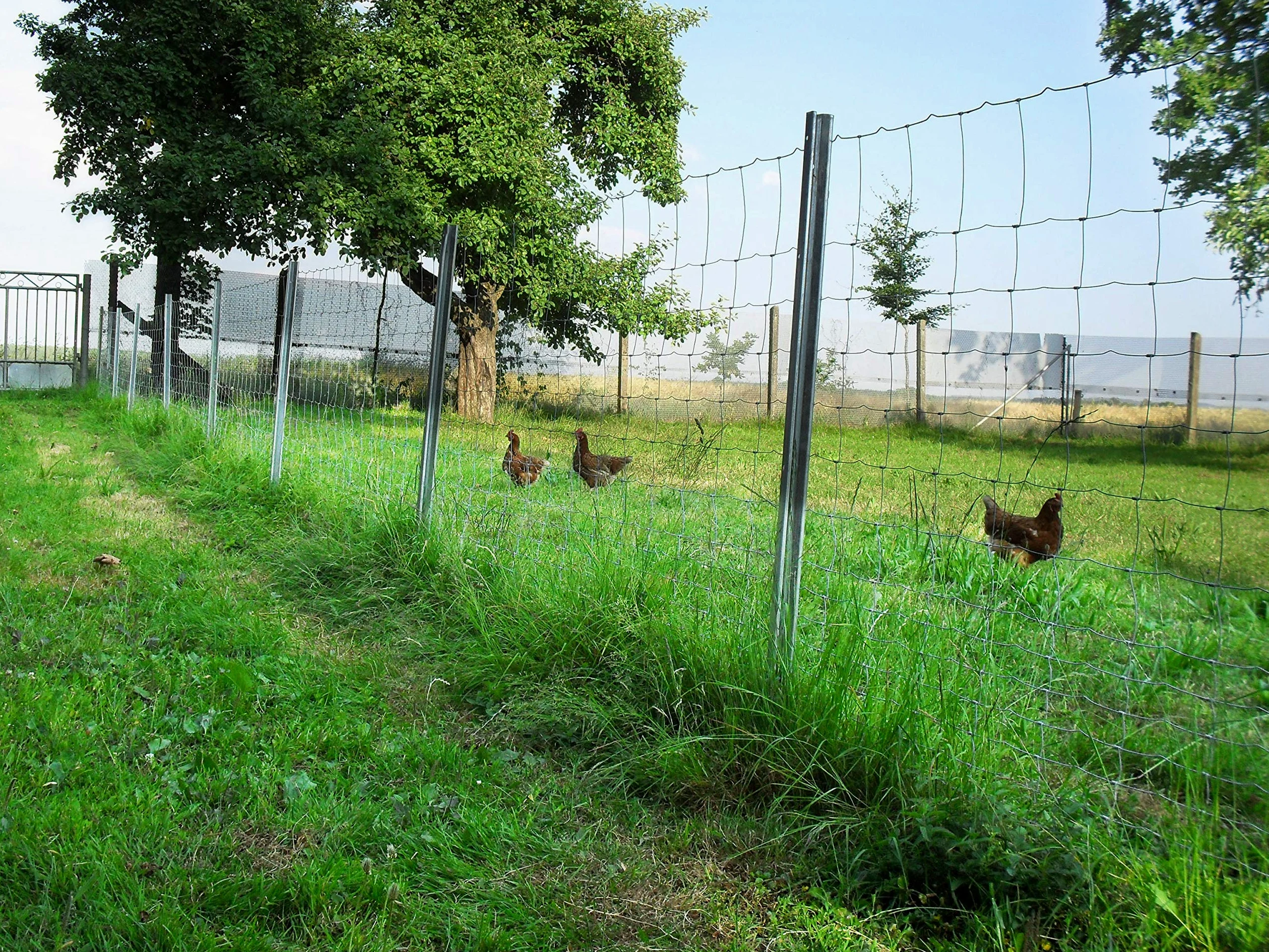 100 m, rete di protezione da animali selvatici, rete per zona boschiva, rete pastorale, rete metallica 180/24/15
