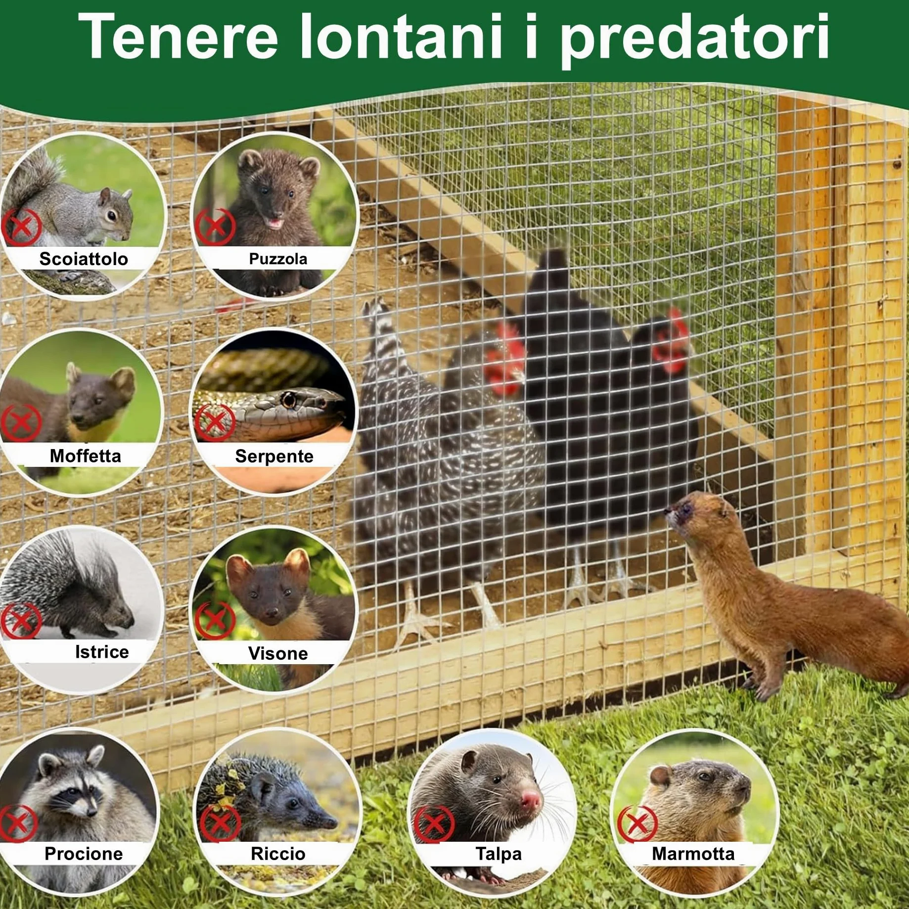 Amagabeli1M X 25M Zincato Maglia Quadrata Rete Giardino Saldatura 12,7mm a Calda Rete a Maglia Spessore 0,7mm Metallo Rete metallica Pollaio Rete metallica Saldata Gallina Chiusure VoliereDA130