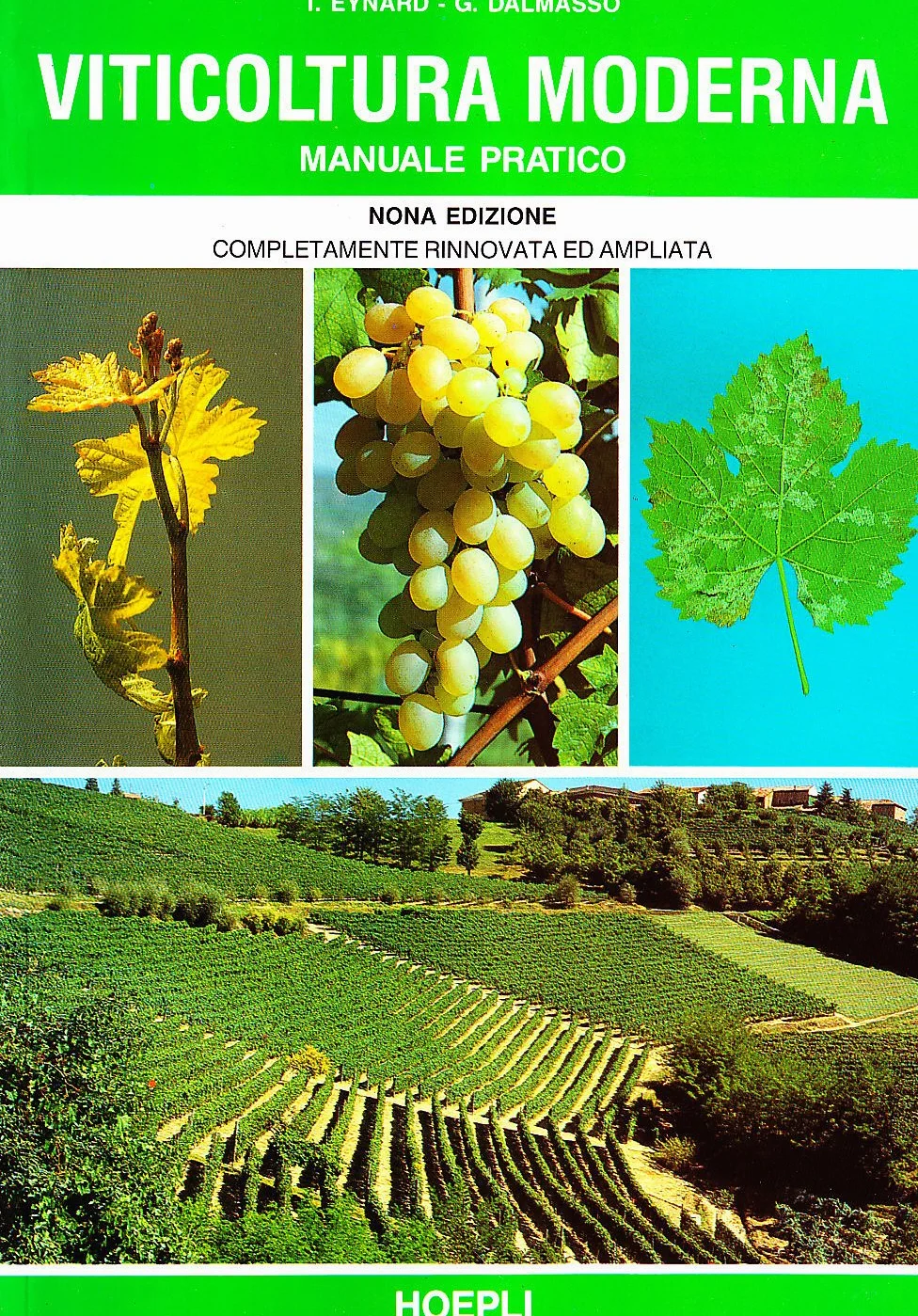Viticoltura moderna