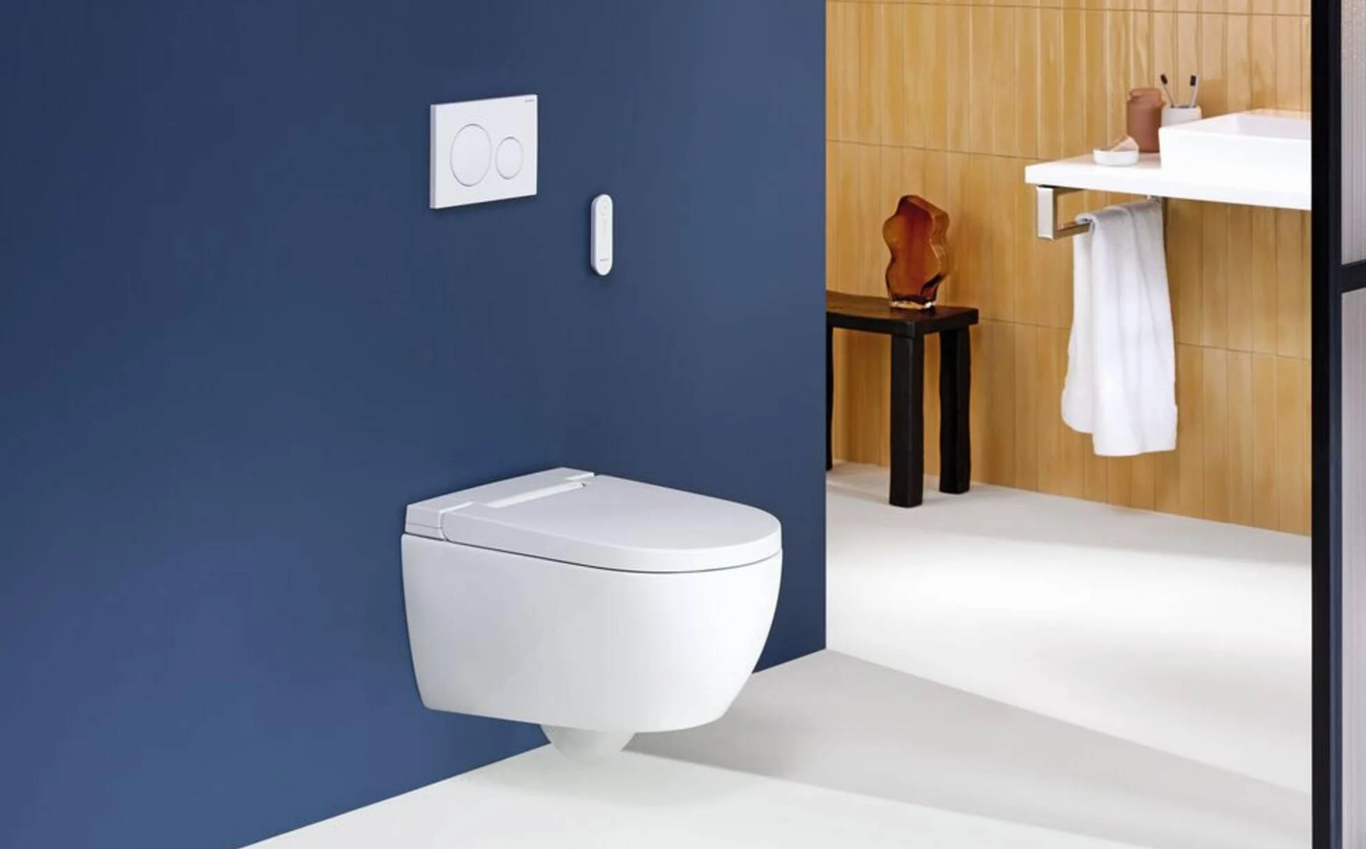 Geberit AquaClean Alba WC douche, installation complète, WC suspendu, 146.350.01.1, 146.350.01.1