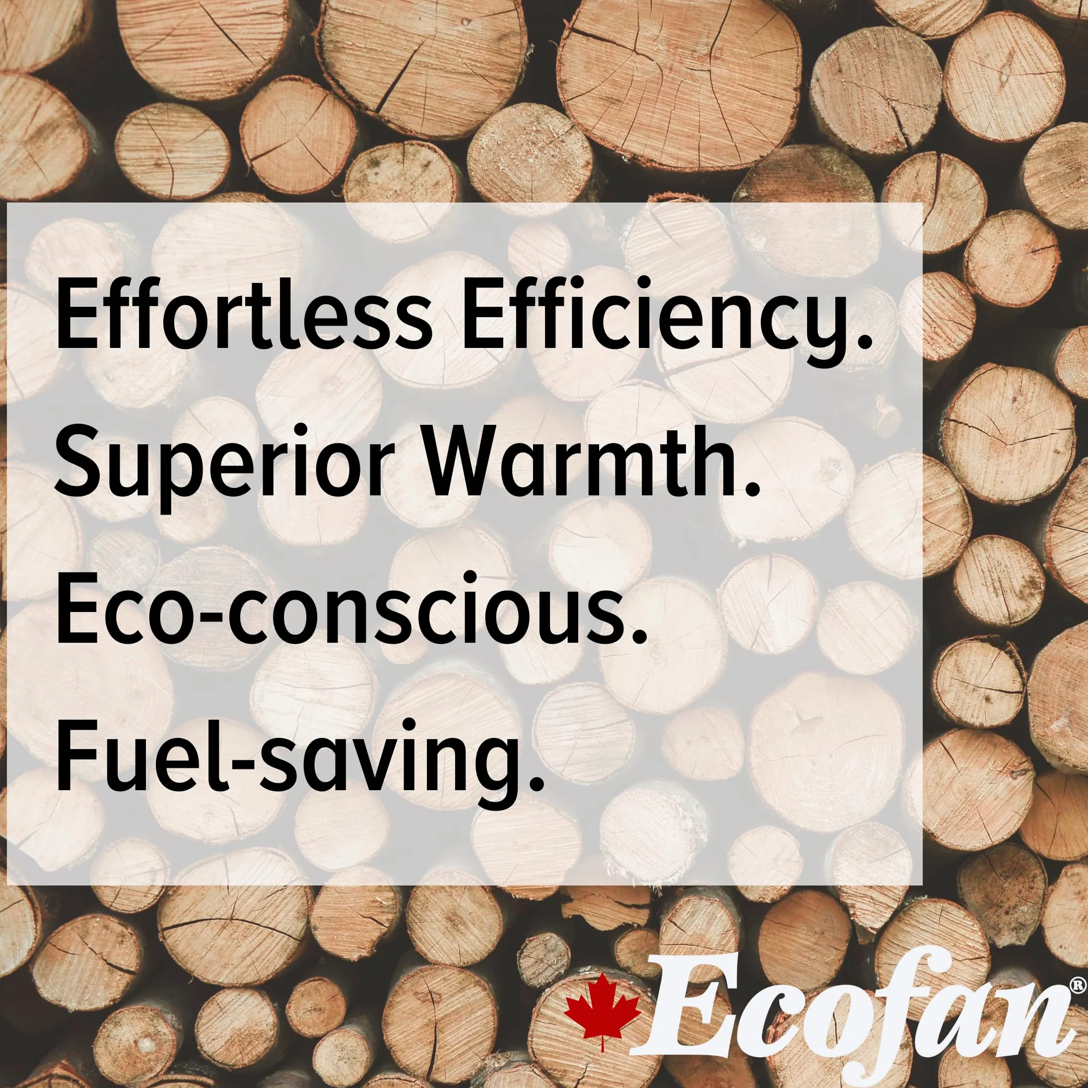 Ecofan 806EUKBX Ventola per Stufa a Legna alimentata a Calore, in Nichel, multilingue