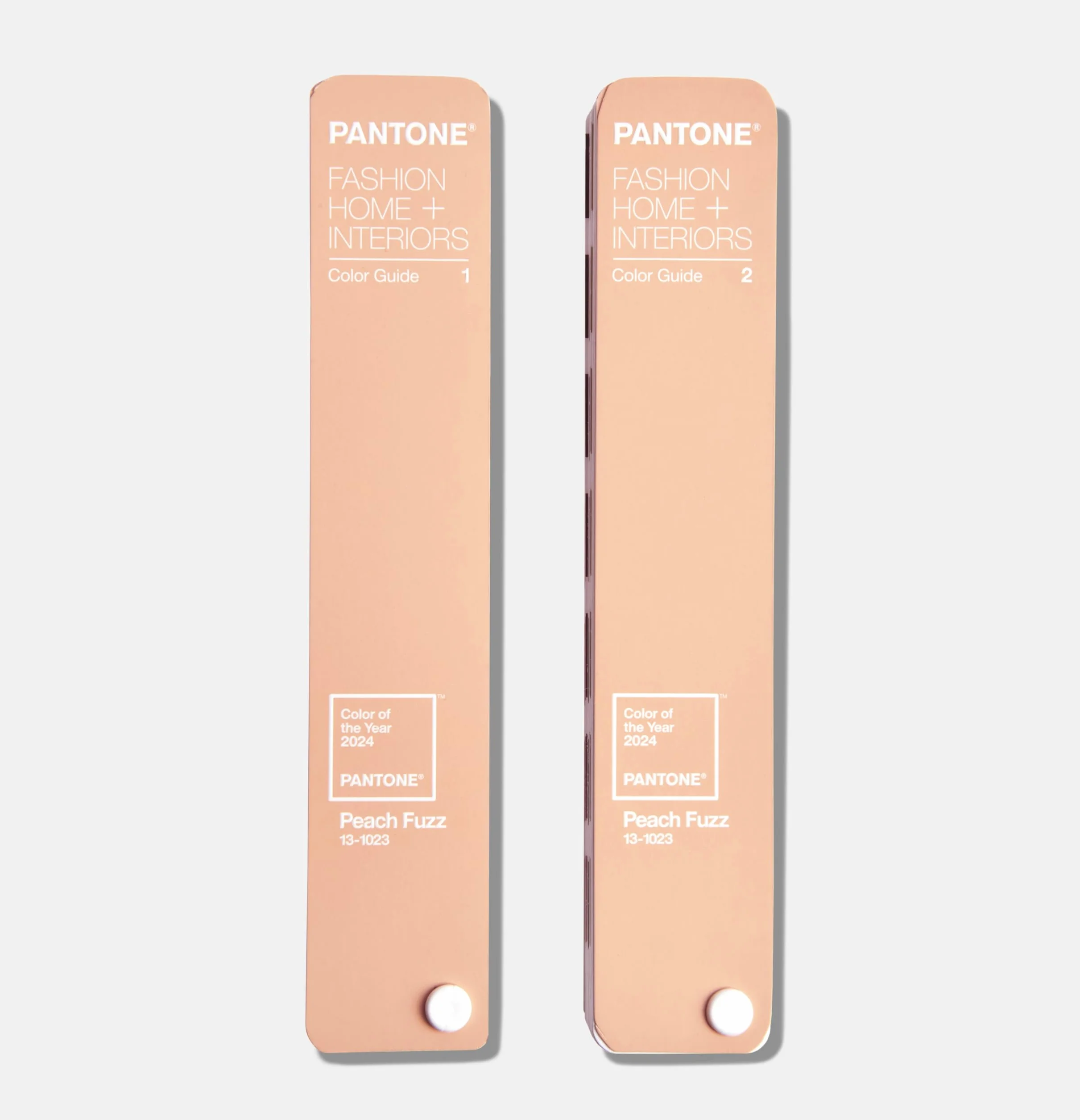 Pantone FHI Color Guide, Color of the Year 2024 in edizione limitata