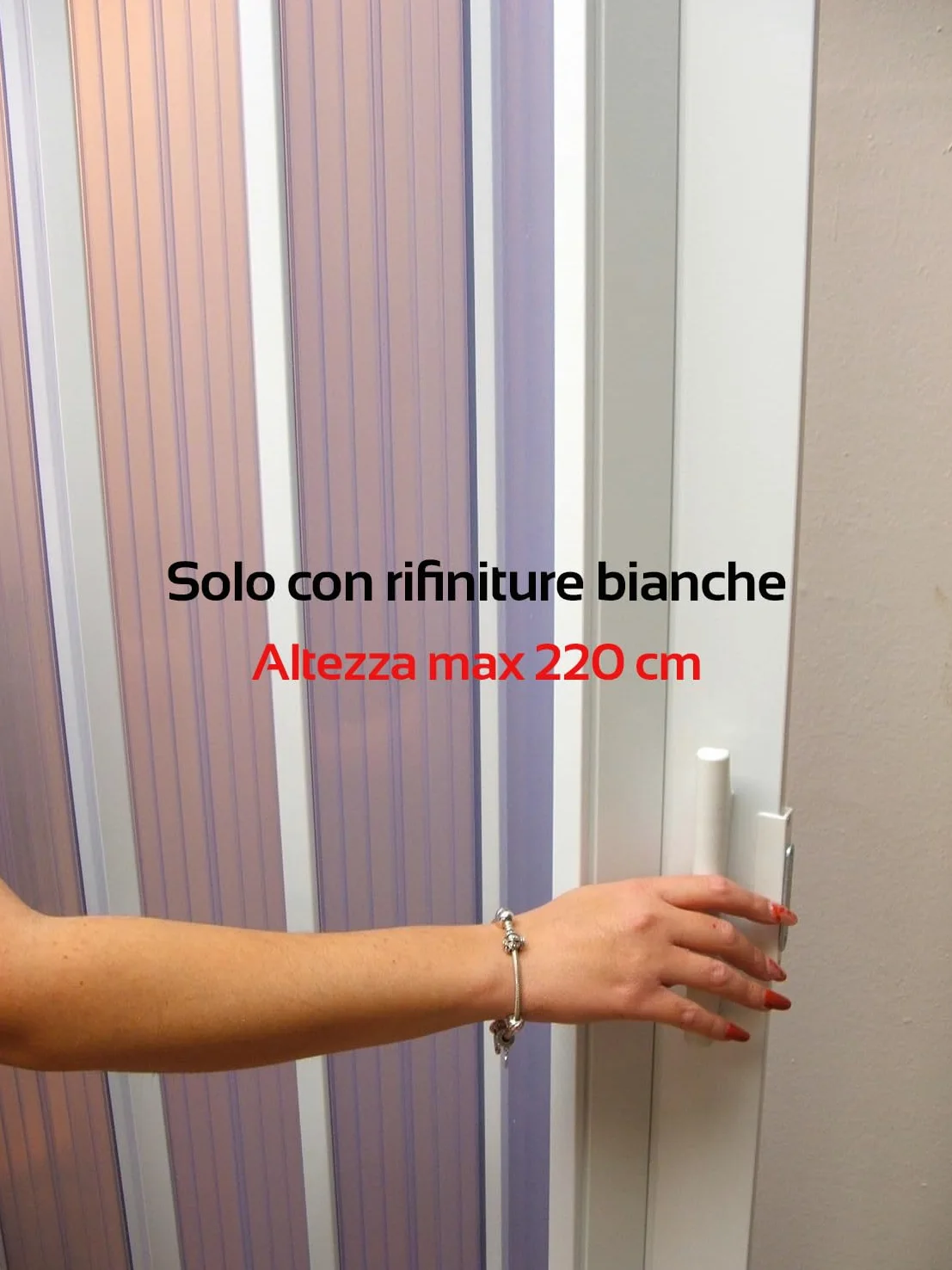 LANZISTIL Porta a Soffietto PVC su Misura| H 220/250/300cm in 10 colori - Sono inclusi: trasporto, viteria, istruzioni e Video. Separè x Interni. Misure da 60a205 x H 220/250/300cm