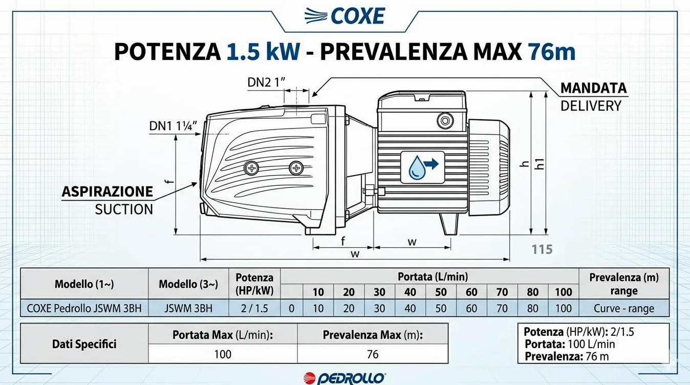 COXE Pedrollo JSWM 3BH Pompa Autoadescante Elettrica 2 HP, Elettropompa Centrifuga in Ghisa per Irrigazione e Autoclave, Portata 100 L/min, Prevalenza 76m, Monofase 220V