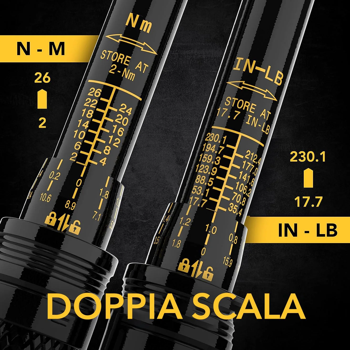 LEXIVON Chiave Dinamometrica Bici/Moto 1/4'' | 2~26 Nm, Set da 15 Pezzi di Punte Esagonali e Torx, Kit Chiavi Dinamometriche Professionali Portatile per Bicicletta, Mountain Bike Tools (LX-191)