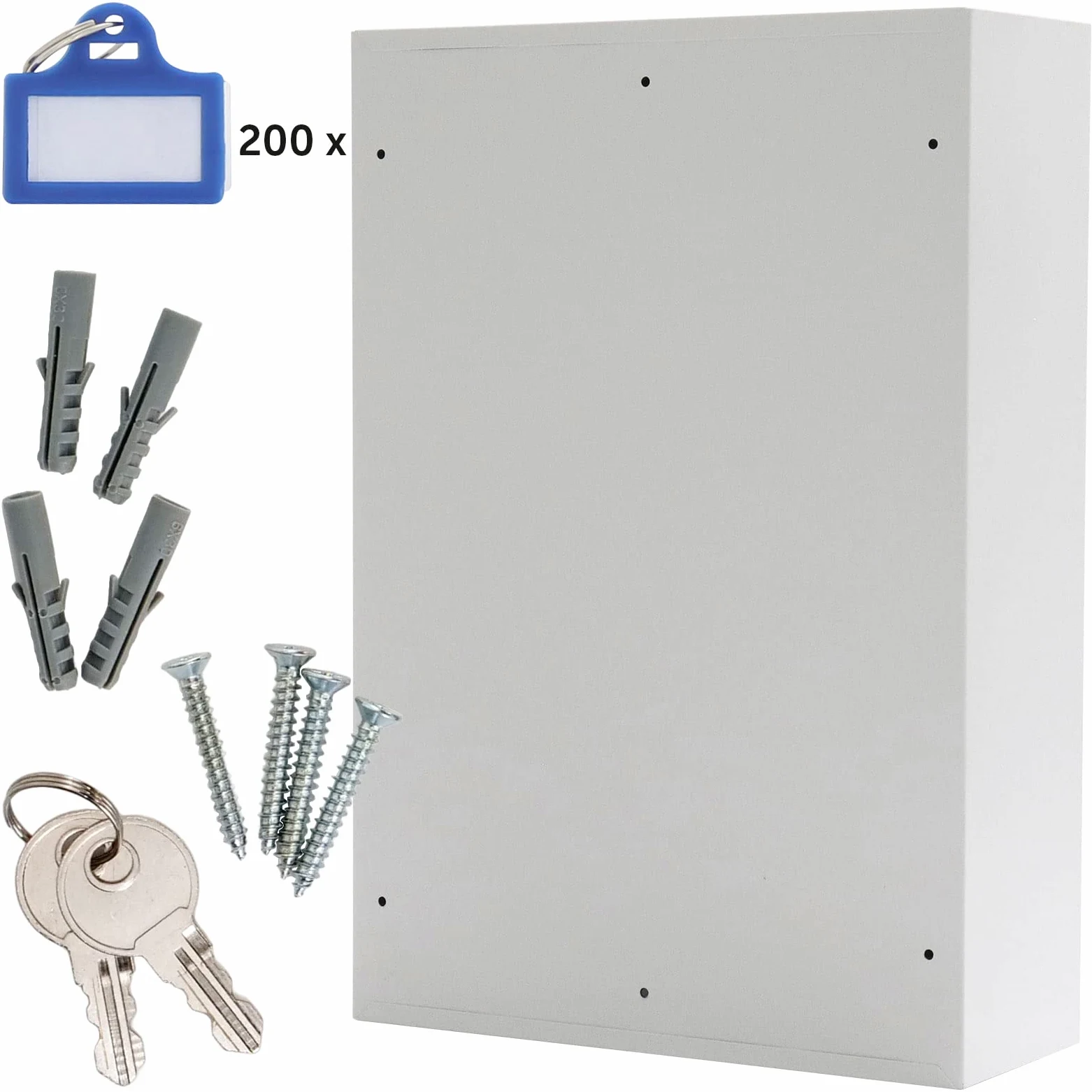 Rottner T06023 Armadietto per chiavi S 200 EL, in lamiera d'acciaio, chiusura elettronica e ganci regolabili per 200 portachiavi, colore grigio chiaro.