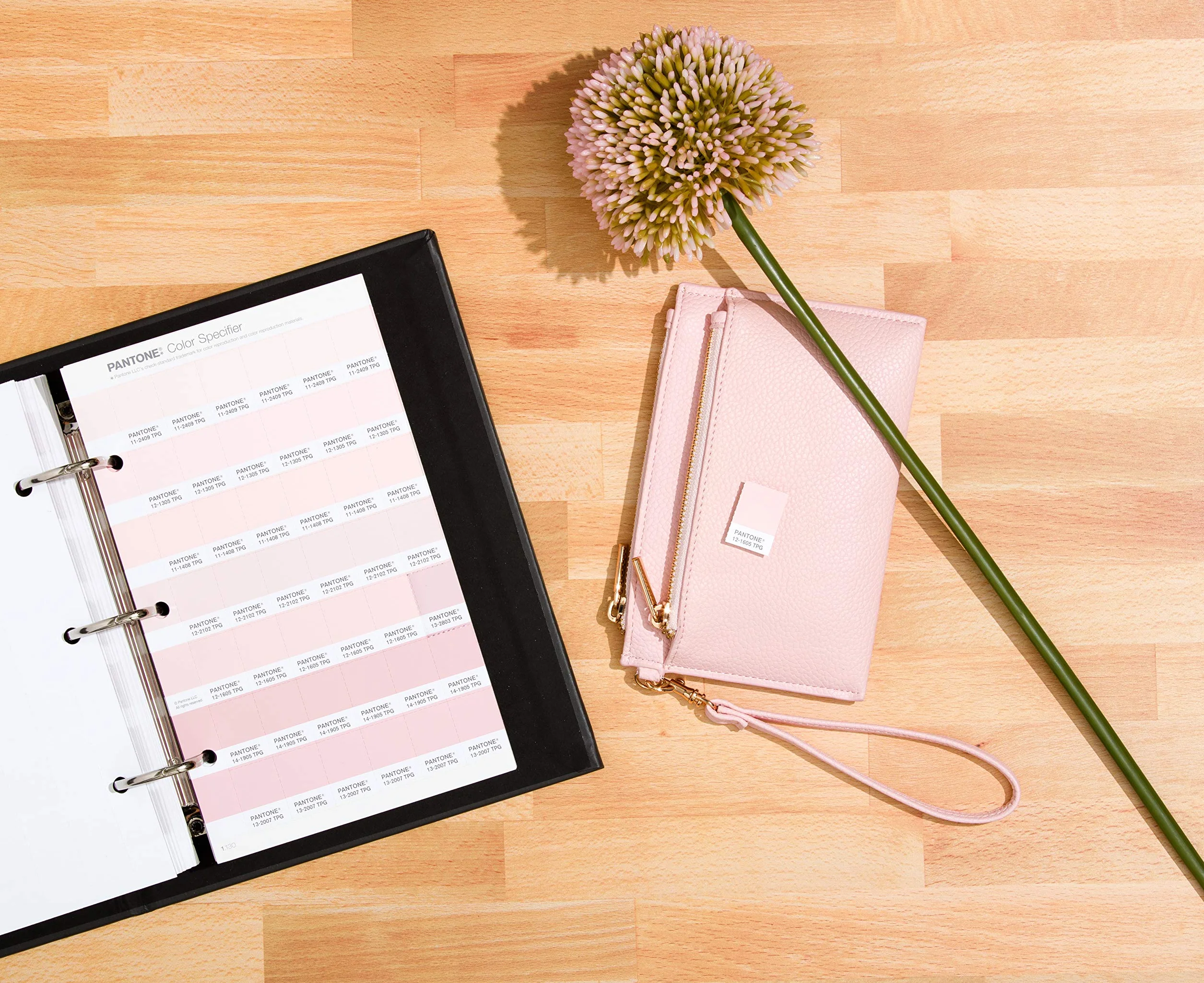 PANTONE FHIP210A Colour Specifier - Specificatore di Colore con Schede Removibili